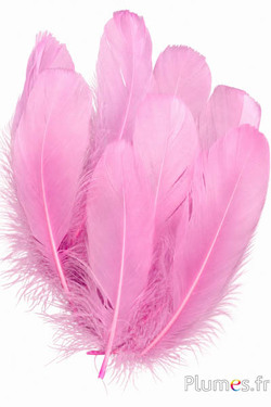 Oca - 11-15 cm -  rosa vecchio